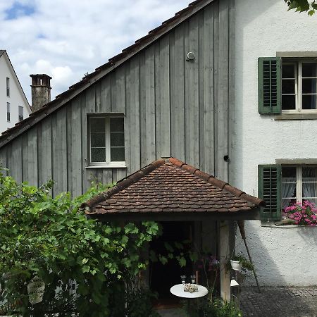 Lufingen Airport Zuerich Elwiras B & B المظهر الخارجي الصورة
