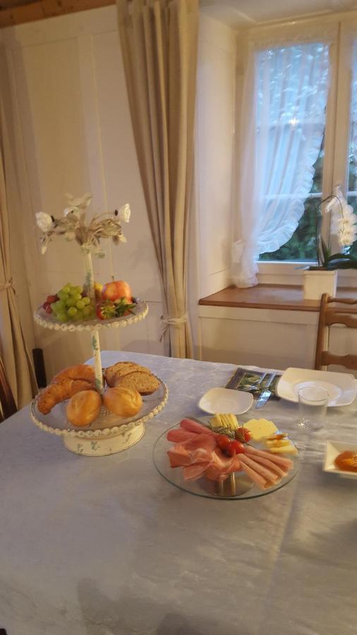 Lufingen Airport Zuerich Elwiras B & B الغرفة الصورة