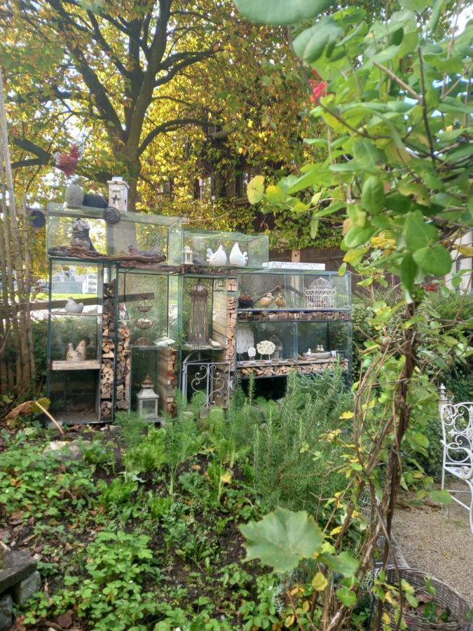 Lufingen Airport Zuerich Elwiras B & B المظهر الخارجي الصورة