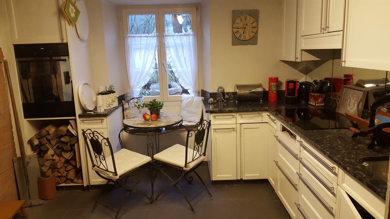 Lufingen Airport Zuerich Elwiras B & B المظهر الخارجي الصورة
