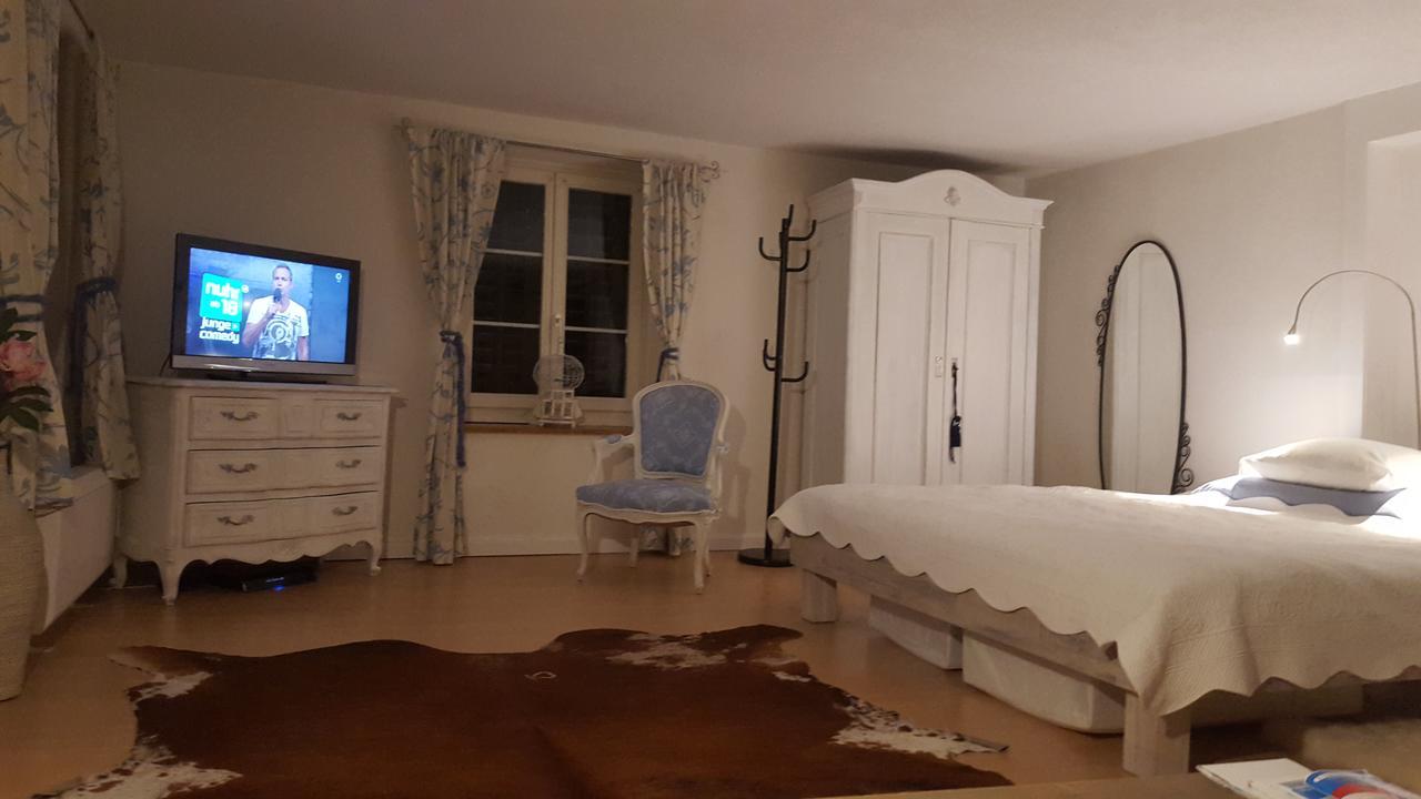 Lufingen Airport Zuerich Elwiras B & B المظهر الخارجي الصورة