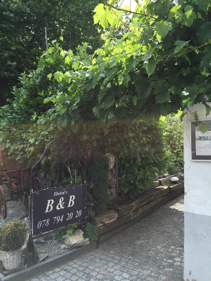Lufingen Airport Zuerich Elwiras B & B المظهر الخارجي الصورة