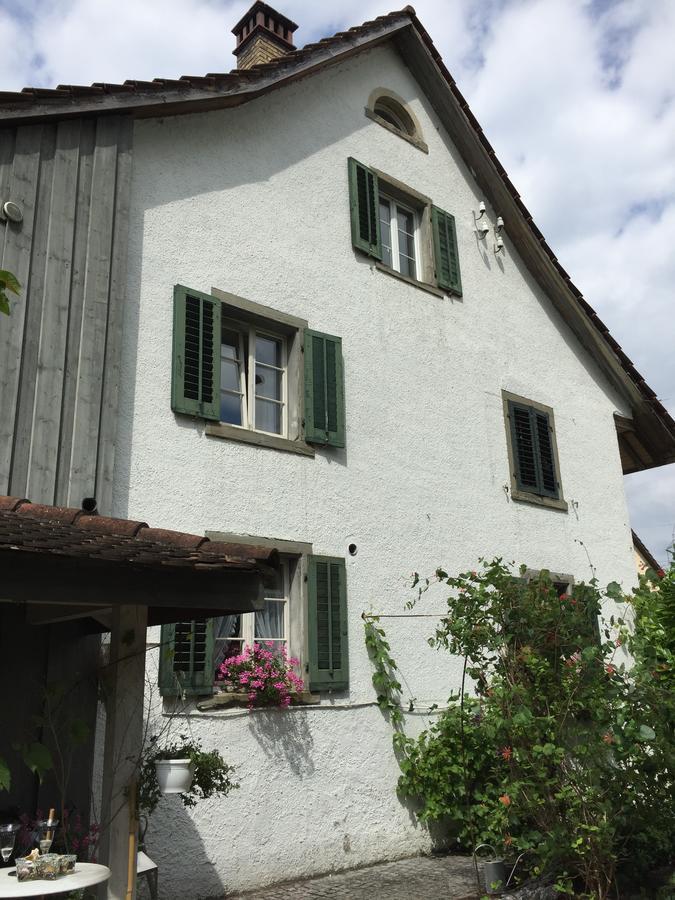 Lufingen Airport Zuerich Elwiras B & B المظهر الخارجي الصورة