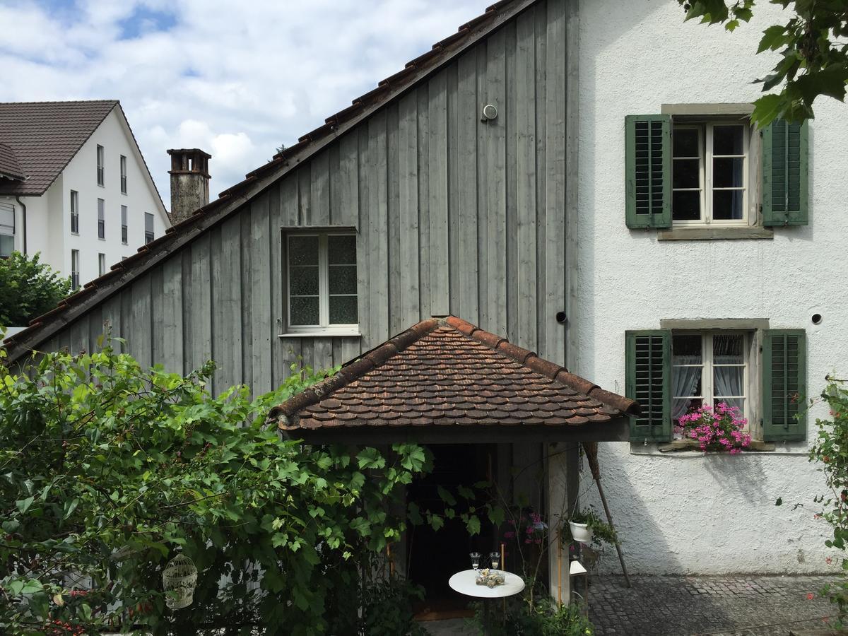 Lufingen Airport Zuerich Elwiras B & B المظهر الخارجي الصورة