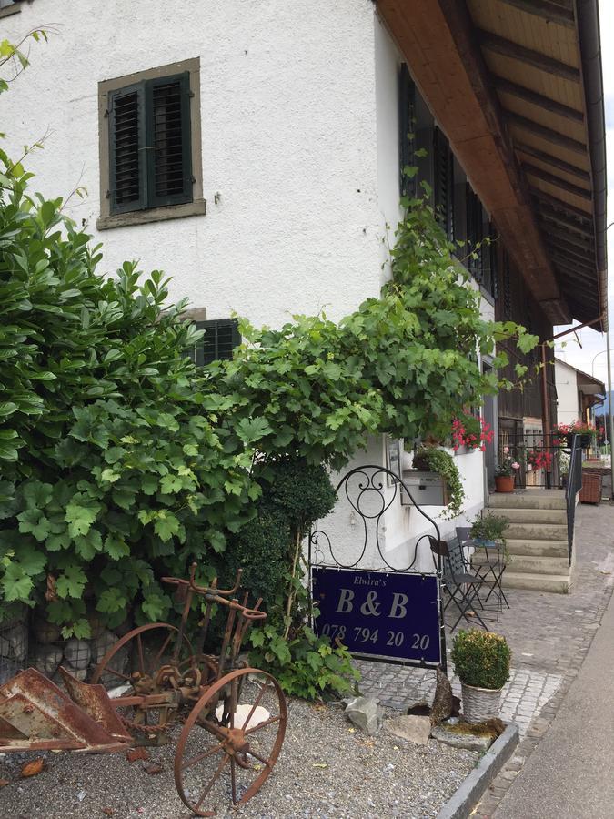 Lufingen Airport Zuerich Elwiras B & B المظهر الخارجي الصورة