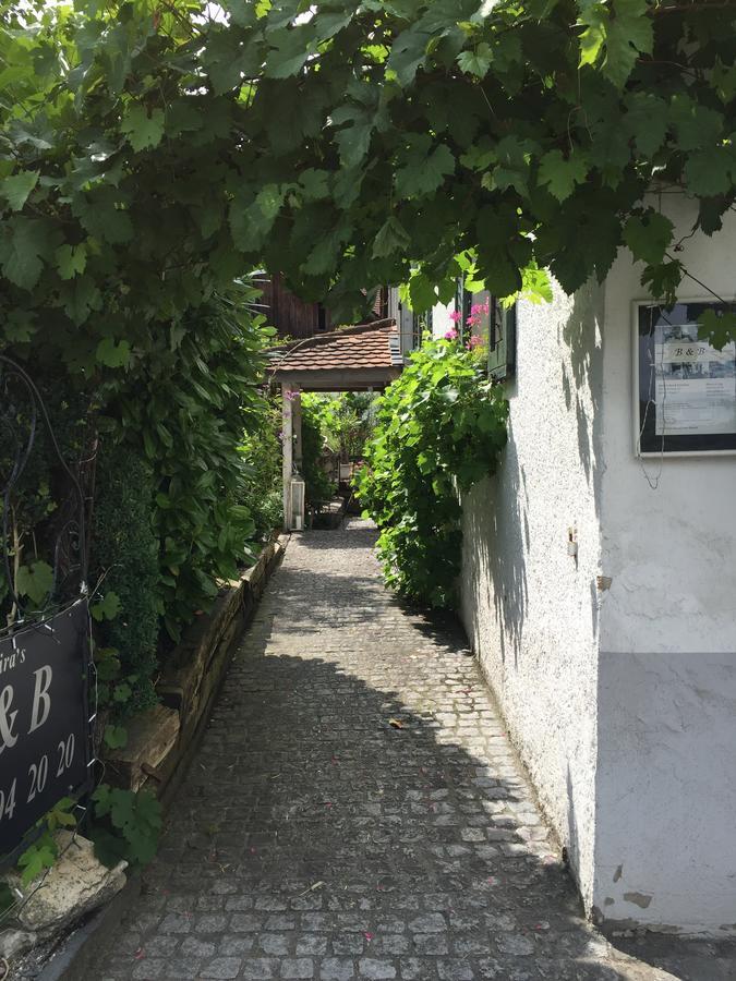 Lufingen Airport Zuerich Elwiras B & B المظهر الخارجي الصورة