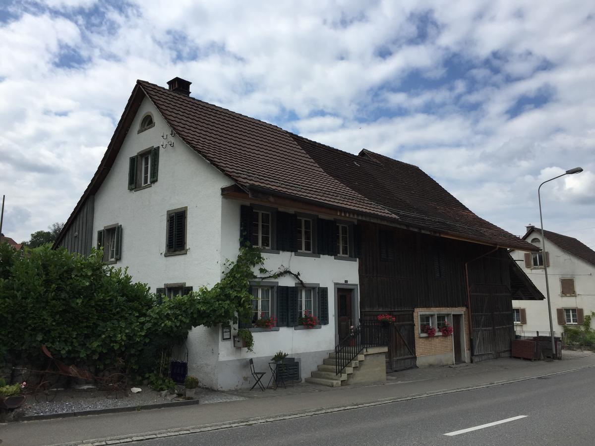 Lufingen Airport Zuerich Elwiras B & B المظهر الخارجي الصورة