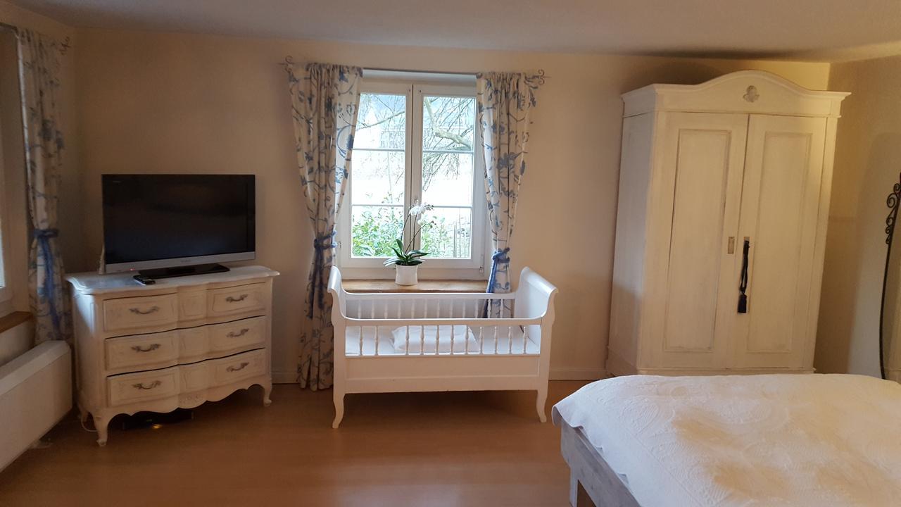 Lufingen Airport Zuerich Elwiras B & B المظهر الخارجي الصورة
